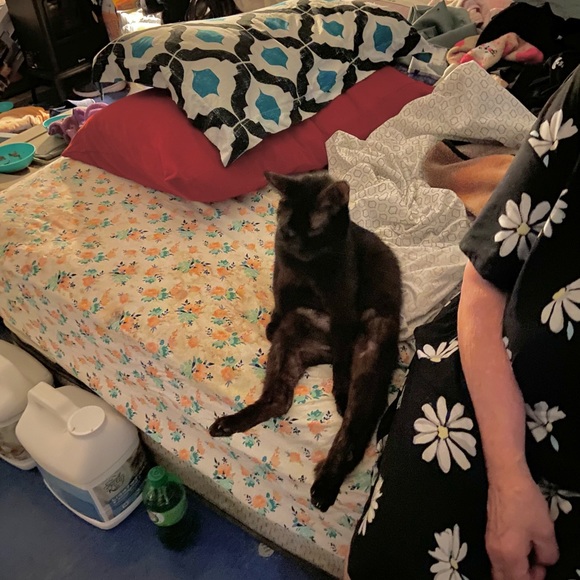 Meet your Posher, Dwana - Picture 7 of 16